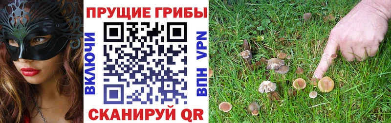 Псилоцибиновые грибы прущие грибы  даркнет сайт  Ирбит 